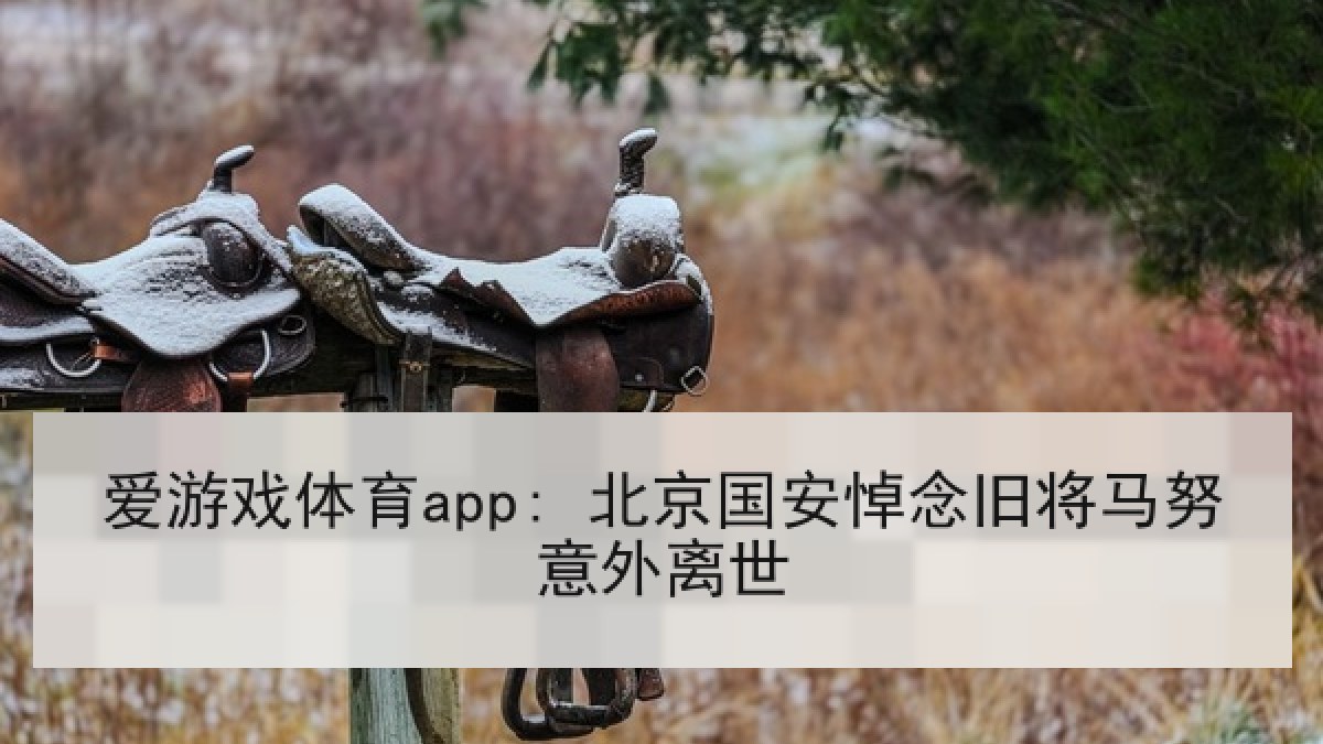 爱游戏体育app: 北京国安悼念旧将马努意外离世