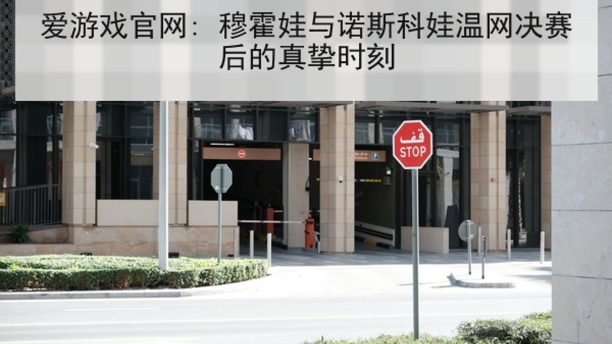 爱游戏官网: 穆霍娃与诺斯科娃温网决赛后的真挚时刻 爱游戏官网: 穆霍娃与诺斯科娃温网决赛后的真挚时刻