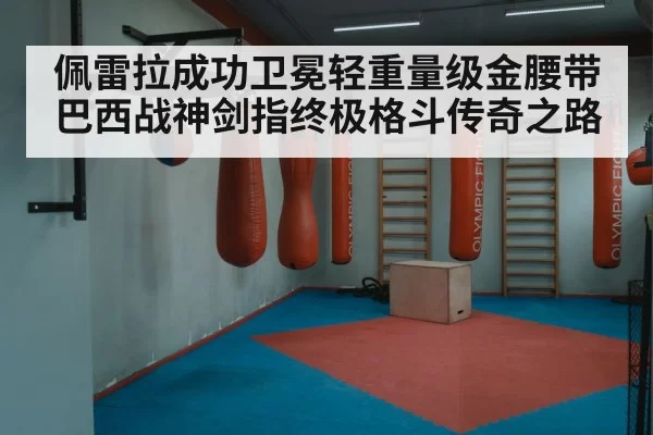 佩雷拉成功卫冕轻重量级金腰带 巴西战神剑指终极格斗传奇之路