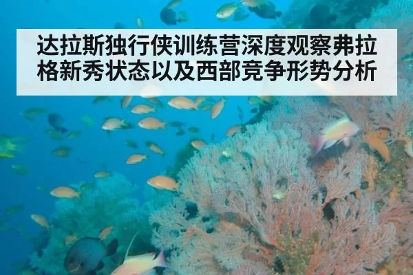 达拉斯独行侠训练营深度观察弗拉格新秀状态以及西部竞争形势分析